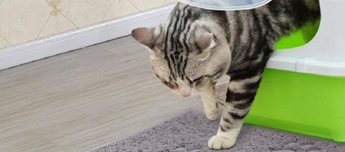 tapis litiere chat choisir